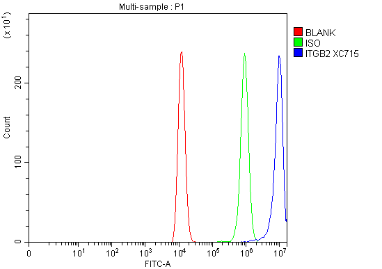 Figure 1: Monoclonal antibodies recognize a specific epitope, whereas polyclonal antibodies recognize multiple epitopes.